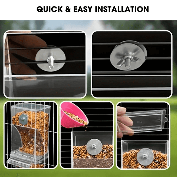 Automatic No-Mess Bird Feeder — Keep Your Birds Fed, Even When You’re Away