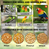Automatic No-Mess Bird Feeder — Keep Your Birds Fed, Even When You’re Away