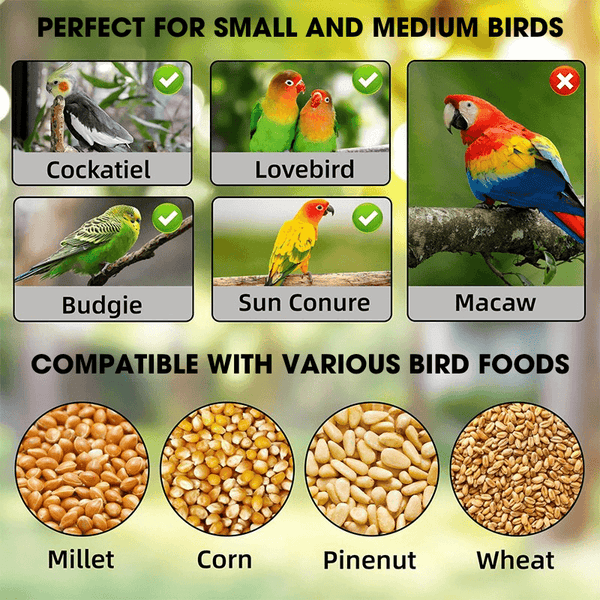 Automatic No-Mess Bird Feeder — Keep Your Birds Fed, Even When You’re Away