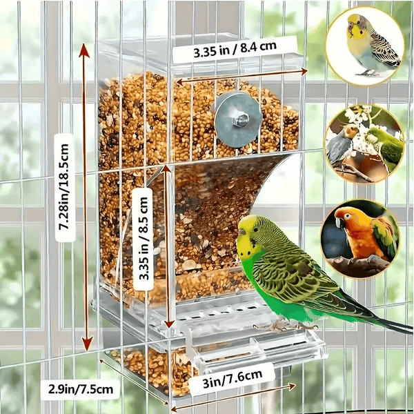 Automatic No-Mess Bird Feeder — Keep Your Birds Fed, Even When You’re Away