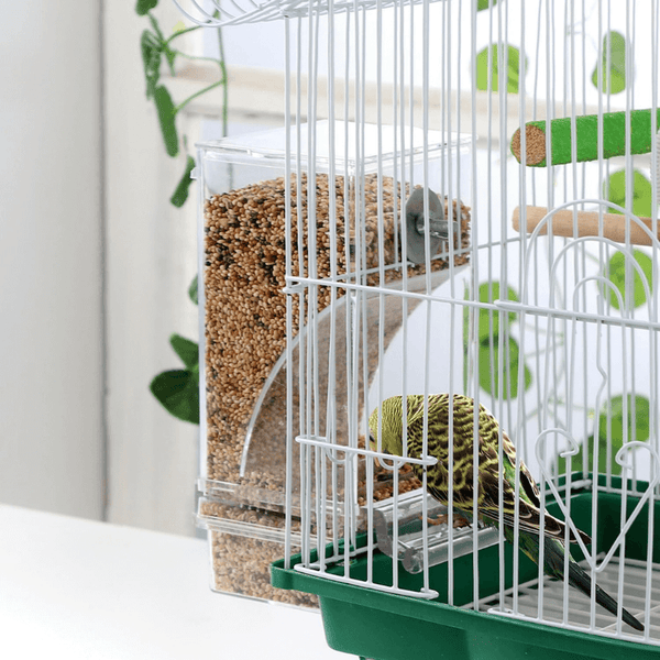 Automatic No-Mess Bird Feeder — Keep Your Birds Fed, Even When You’re Away