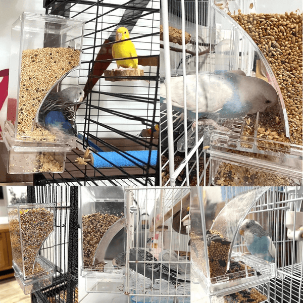Automatic No-Mess Bird Feeder — Keep Your Birds Fed, Even When You’re Away