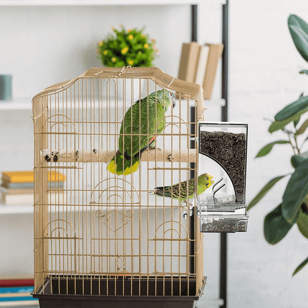Automatic No-Mess Bird Feeder — Keep Your Birds Fed, Even When You’re Away