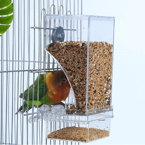 Automatic No-Mess Bird Feeder — Keep Your Birds Fed, Even When You’re Away