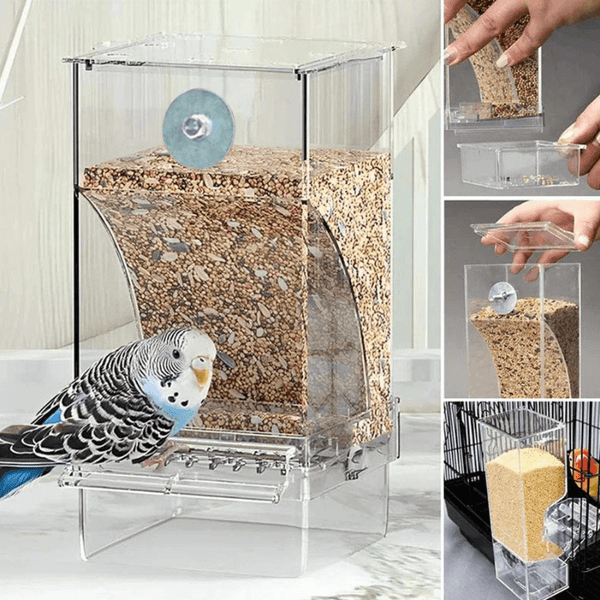 Automatic No-Mess Bird Feeder — Keep Your Birds Fed, Even When You’re Away