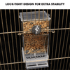 Automatic No-Mess Bird Feeder — Keep Your Birds Fed, Even When You’re Away