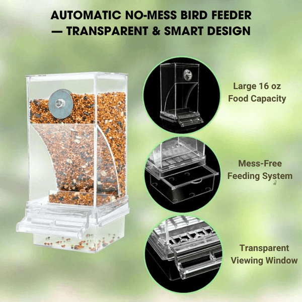Automatic No-Mess Bird Feeder — Keep Your Birds Fed, Even When You’re Away
