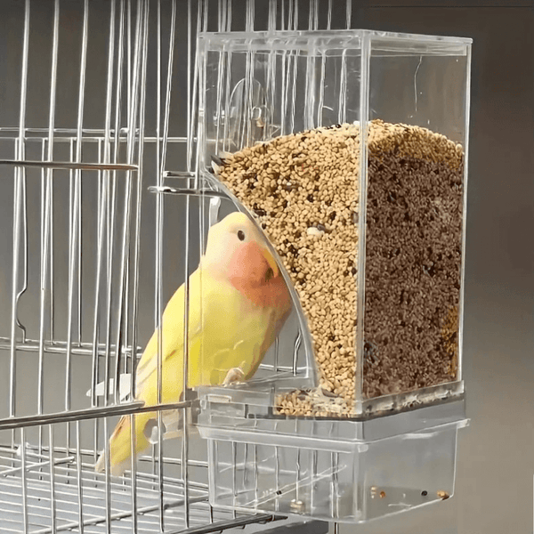 Automatic No-Mess Bird Feeder — Keep Your Birds Fed, Even When You’re Away