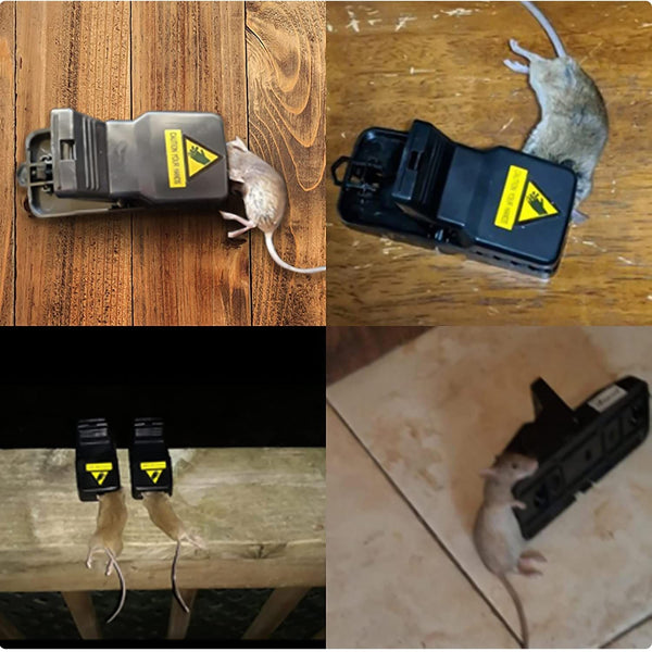 Quick Effective Sanitary Safe Mouse Trap, 6 Pack