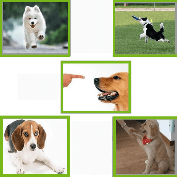 Ultrasonic Dog Whistle with Adjustable Pitch for Safe Pet Training, 2Pcs