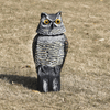360-Degree Rotating Owl Decoy with Scary Sounds and Shadows