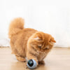 Interactive Cat Toy Ball: Auto Rolling, LED Light, Bell - Battery Operated