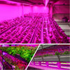 LED Grow Light Tube