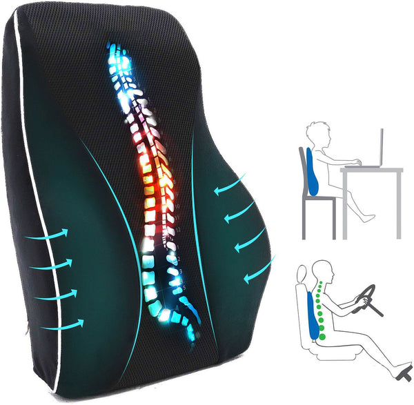 Lumbar Support Pillow