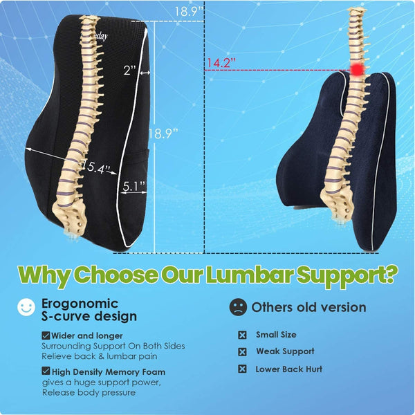 Lumbar Support Pillow