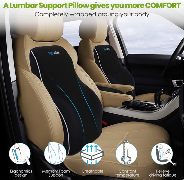 Lumbar Support Pillow