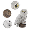 Solar Owl LED Garden Path Light - Waterproof