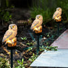 Solar Owl LED Garden Path Light - Waterproof