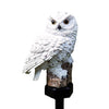 Solar Owl LED Garden Path Light - Waterproof