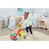 Sit-to-Stand Learning Walker, Baby Activity Push Walker