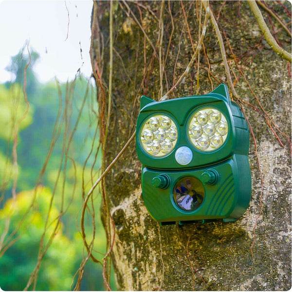 Raccoon Outdoor Solar Power Ultrasonic Repeller